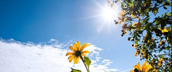 Ánh nắng mặt trời chứa nhiều Vitamin D giúp chắc khỏe xương