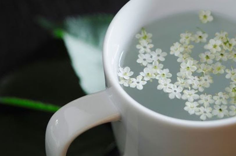 Trà trắng có chứa chất chống oxy hóa nhiều hơn cả trà xanh 