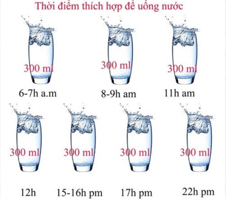 Uống nước theo thời gian biểu cụ thể