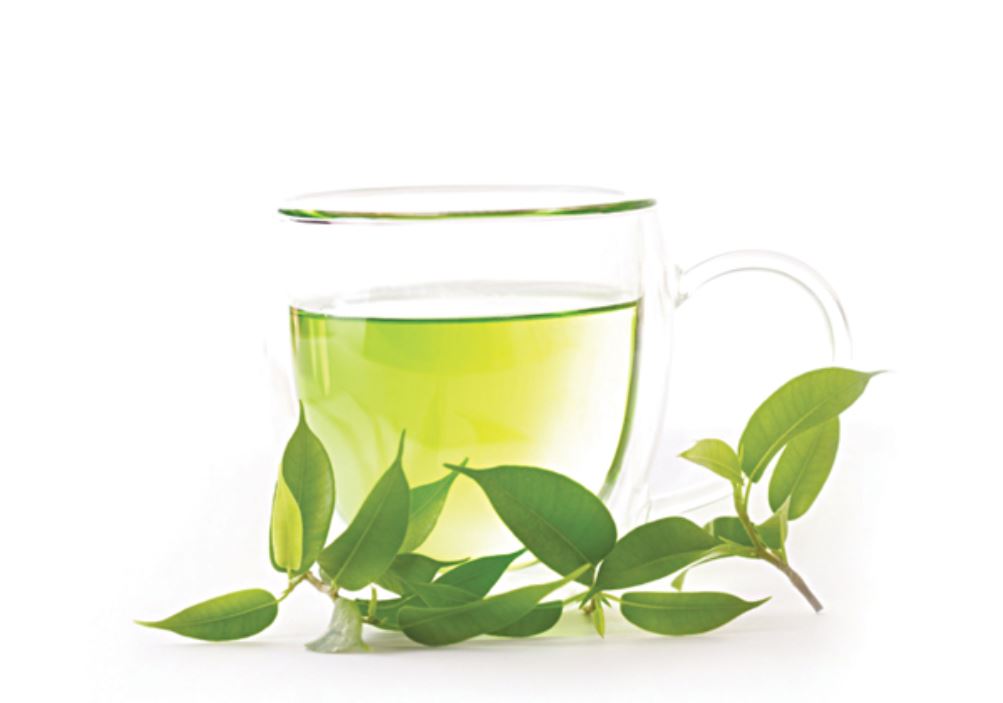 Hội Ung thư học Mỹ vận động dân chúng hàng ngày uống 6 tách trà xanh để phòng ung thư